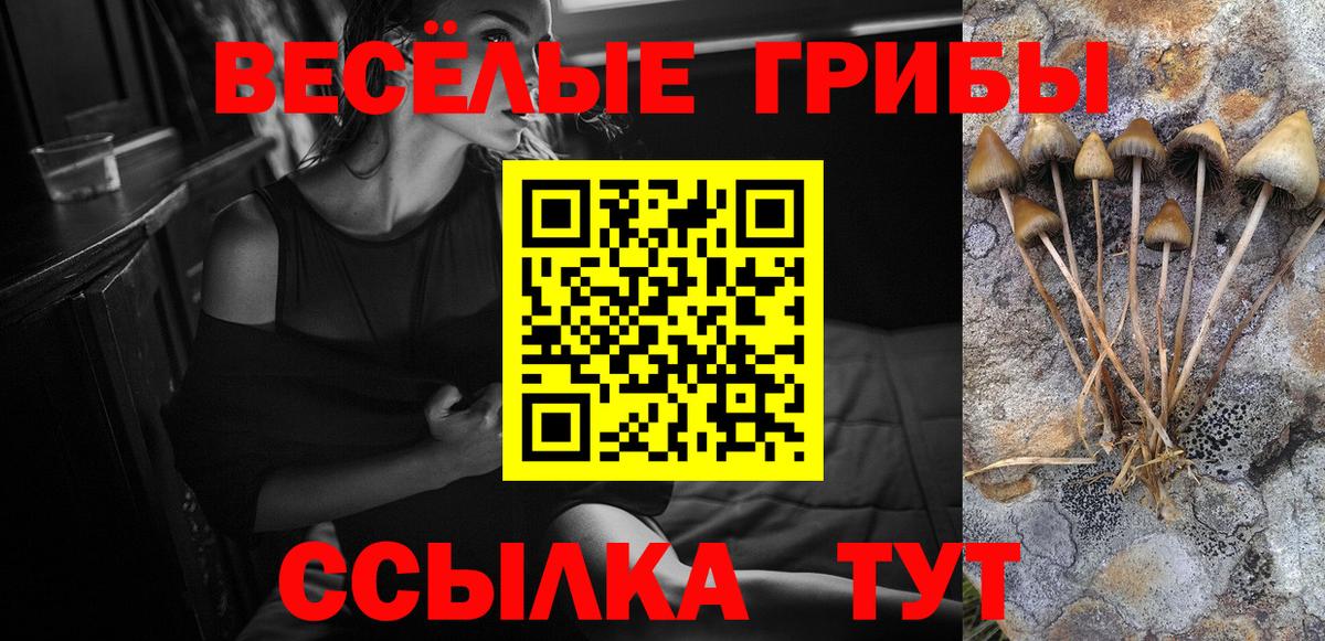 Псилоцибиновые грибы GOLDEN TEACHER Похвистнево