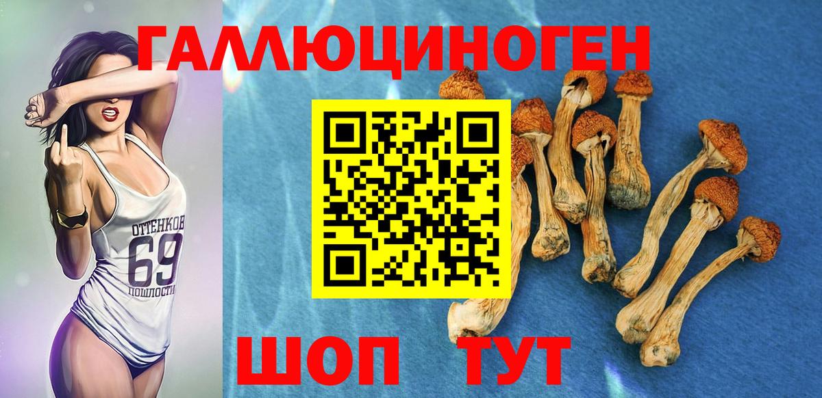 Псилоцибиновые грибы прущие грибы  Вход с VPN  Псилоцибиновые грибы GOLDEN TEACHER  Похвистнево 